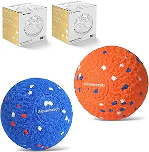 Interactive Dog Balls Duo