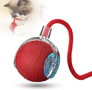 2026 Interactive Cat Toy Balls